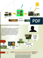 Fase 2 Ciclos Biogeoquímicos y Flujos de Energía en Los Ecosistemas