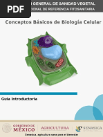 Conceptos Básicos de Biología Celular-1