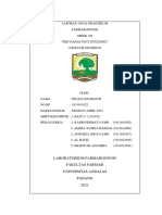 Selsti Novrianti - Laporan Awal Objek 7