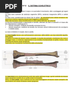 1 sistema scheletrico