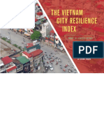 The Vietnam City Resilience Index