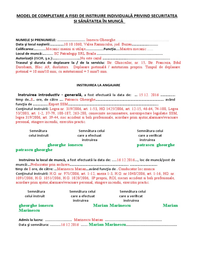 Model de Fisa Individuala de Instruire SSM | PDF