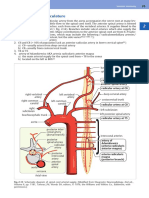 Spinal Cord Vasculatur Greenberg Ed9 (Dragged)