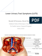 Lower Urinary Tract Symptoms (LUTS) : Basuki B.Purnomo, Besut Daryanto