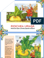 0_3_ridichea_uriasa
