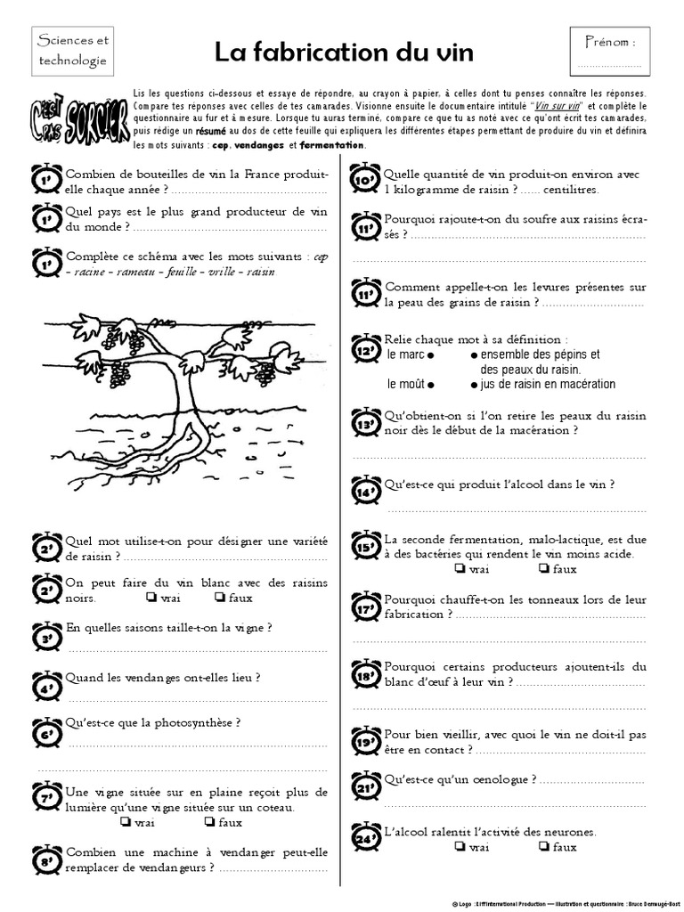 Le Vin C Est Pas Sorcier Pdf C'est Pas Sorcier 2203 - Vin Sur Vin | PDF | Raisin | Boissons alcoolisées