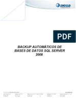 Backup Automáticos de Bases de Datos SQL Server 2008