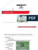 Mosquito Q&A: Pesticide Training/Rosmarie Kelly/Dec 5