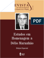 Revista - Edição Especial - Délio Maranhão 02-10-2015