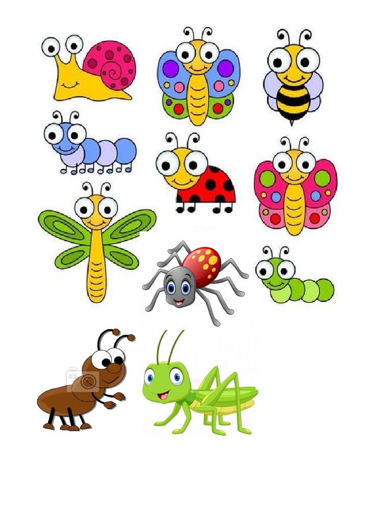Bichinhos de Jardim | PDF