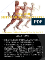 Anatomi Fisiologi Muskuloskeletal