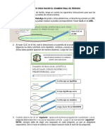 Instructivo para Hacer Examen Final de Periodo