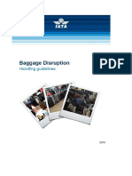 baggage20disruption_handling20guidelines