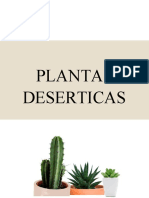 Plantas Deserticas