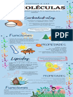 Infografía Moléculas Biológicas (1)