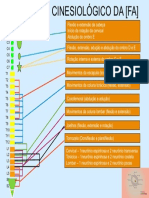 Mapa Cinesiológico (FA)