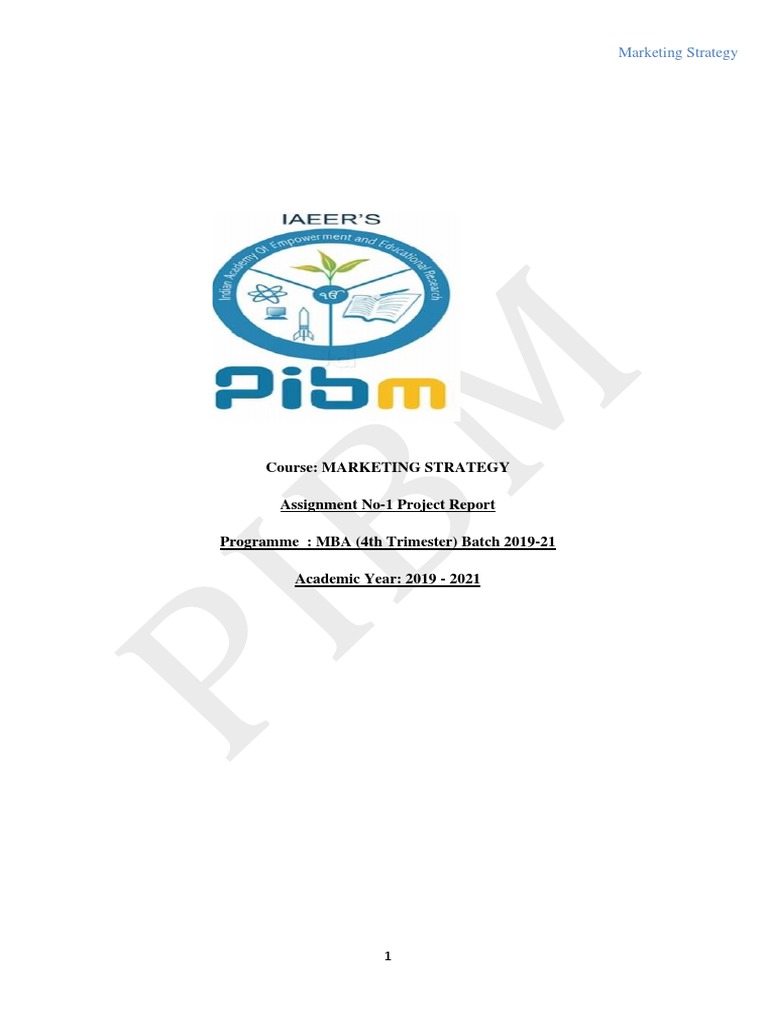 Marketing Strategy Project Report Guide | PDF | Marketing Strategy ...