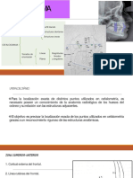 3 ANATOMIA ORIENTADA A LA Cefalometría