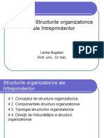 Tema 4. Structurile Organizatorice - PPS