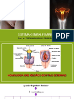 Aula Sistema Genital Feminino e Endócrino