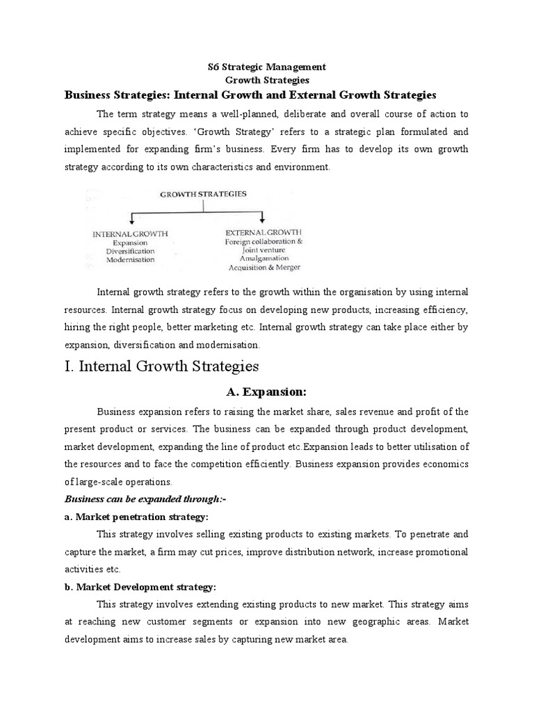 Business Strategies Internal Growth and External Growth Strategies