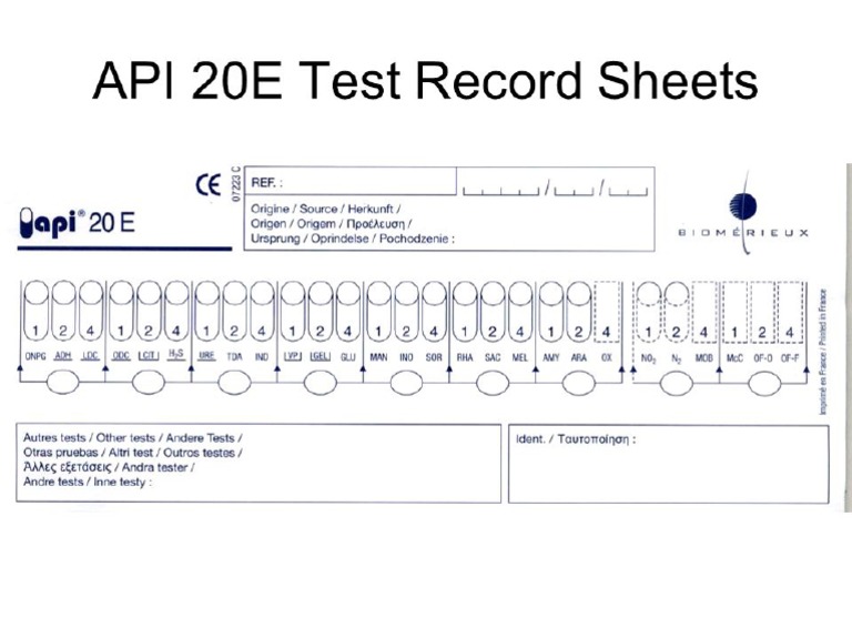 API+20E+Test+Record+Sheets Copy 2 PDF