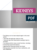 How the Kidneys Filter Blood and Remove Waste