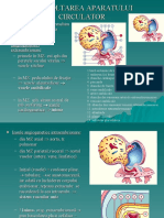 Cursul 3 Embrio - Dezvoltarea Aparatului Cardiovascular