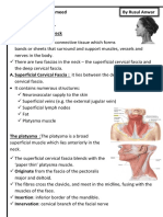 Fascial Layers and Structures of the Neck