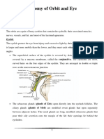 Ana. D. Muataz L1 Anatomy of Eye and Orbit