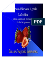 Fresa (Fragaria Vesca)3