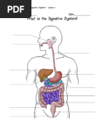 FileDigestive System Without Labels - SVG - Wikime | PDF ...