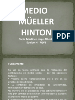 Medio Mueller Hinton