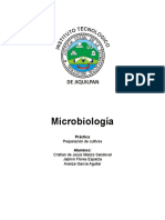 Practica Microbiologia33