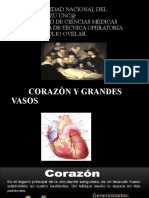 Cirugia Cardiovascular 2020