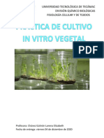 Practica de Cultivo in Vitro Vegetal