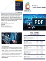 Ciberseguridad - Brochure Unicaribe