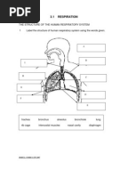 HOTS Questions for Math