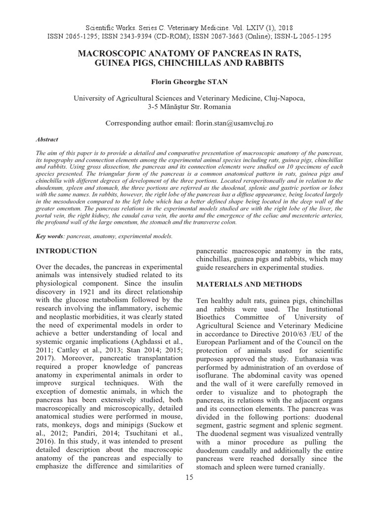 Macroscopic Anatomy of Pancreas in Rats, Guinea Pigs, Chinchillas and ...