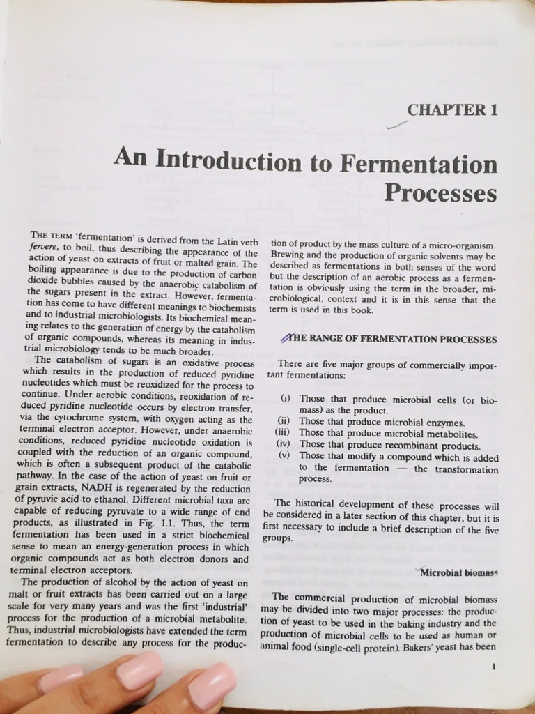 An Introduction To Fermentation Processes PDF