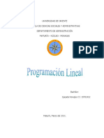 Programa Lineal