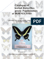 Catalogue of Swallowtail Butterflies (Lepidoptera: Papilionidae) at Borneensis