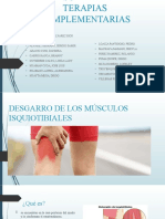 Masoterapia y Terapias Complementarias (Autoguardado)