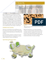 Oil Study Guide Provides Overview of Petroleum Formation, Extraction