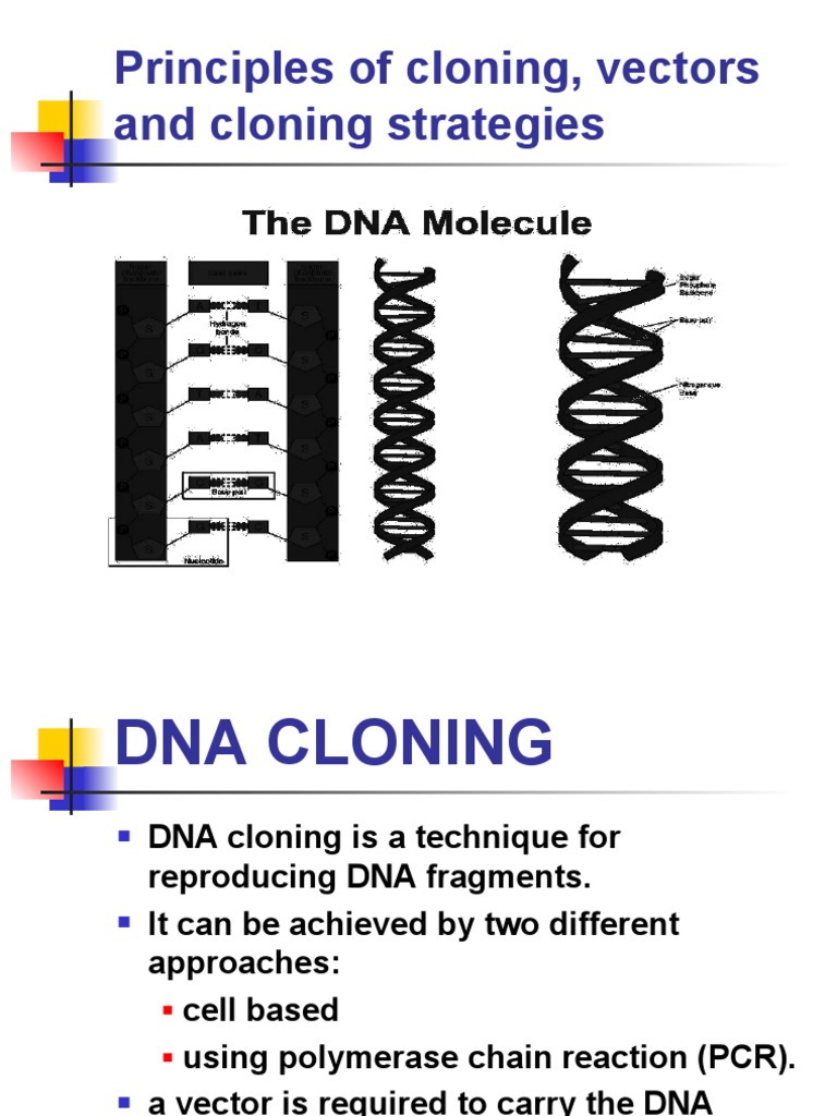 Principles of Cloning, Vectors and Cloning Strategies | PDF | Molecular ...