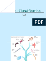 BIO3: Animal Classification