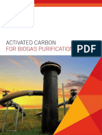 Activated Carbon: For Biogas Purification