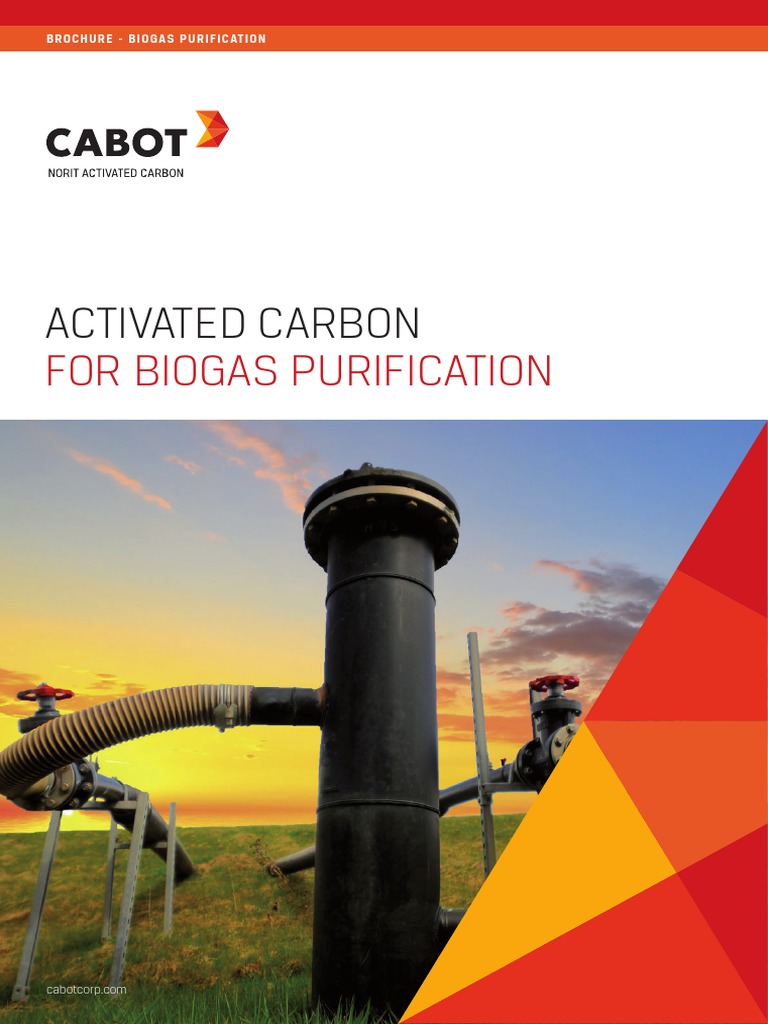 Activated Carbon For Biogas Purification PDF Biogas Volatile