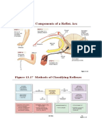 AAP Exam Revision