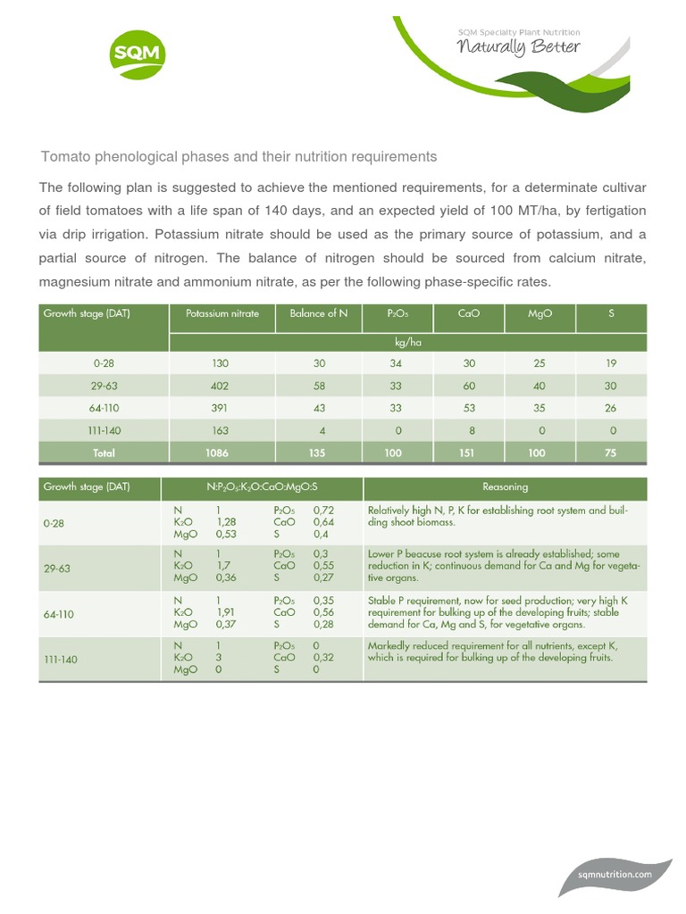 tomato-phenological-phases-and-their-nutrition-requirements-pdf